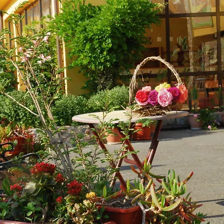 Отель Trakia Garden Солнечный берег