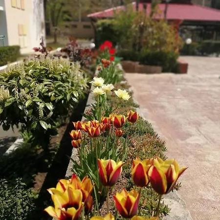 מלון Trakia Garden סאני ביץ'