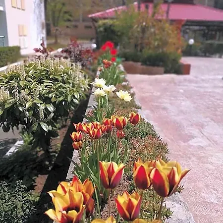 ホテル Trakia Garden