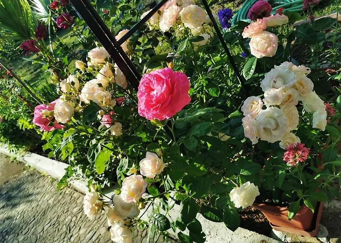 Trakia Garden 酒店 阳光海滩