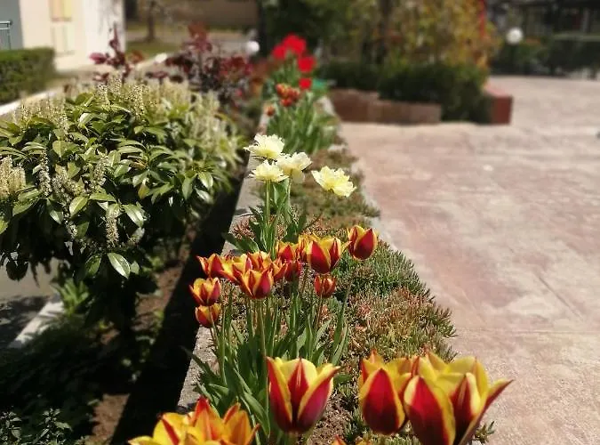 Szálloda Trakia Garden Napospart