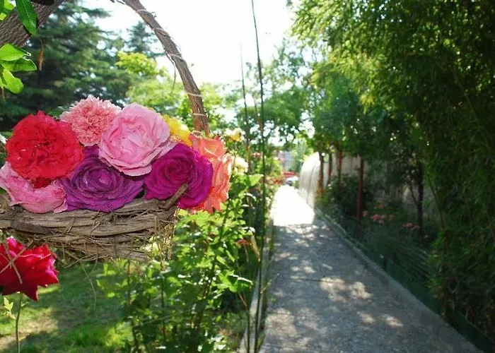 Trakia Garden Napospart