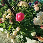 Trakia Garden מלון סאני ביץ'